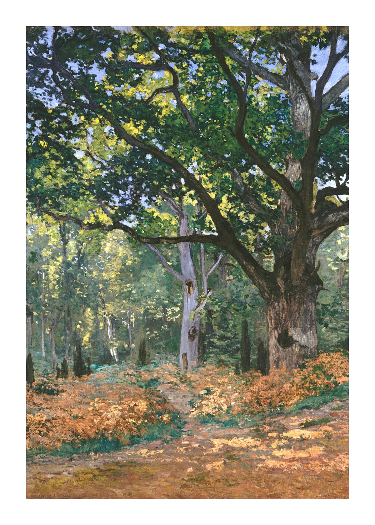 variant-50x70_with-margin