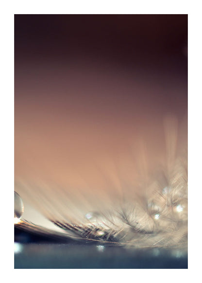 variant-50x70_with-margin