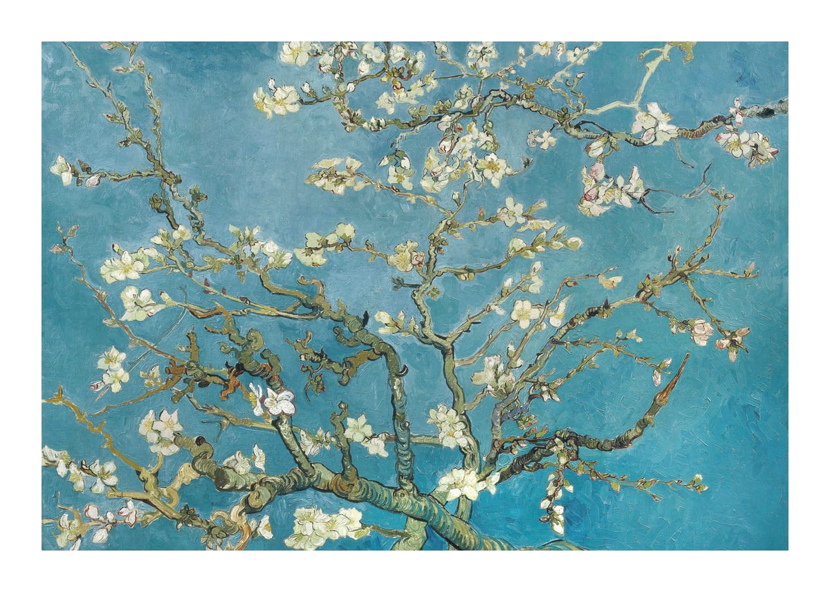 variant-50x70_with-margin