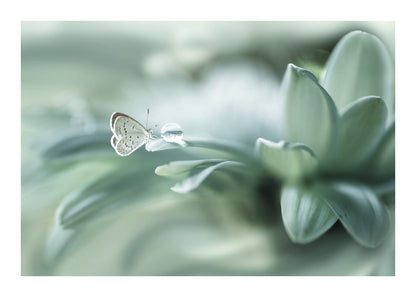 variant-50x70_with-margin