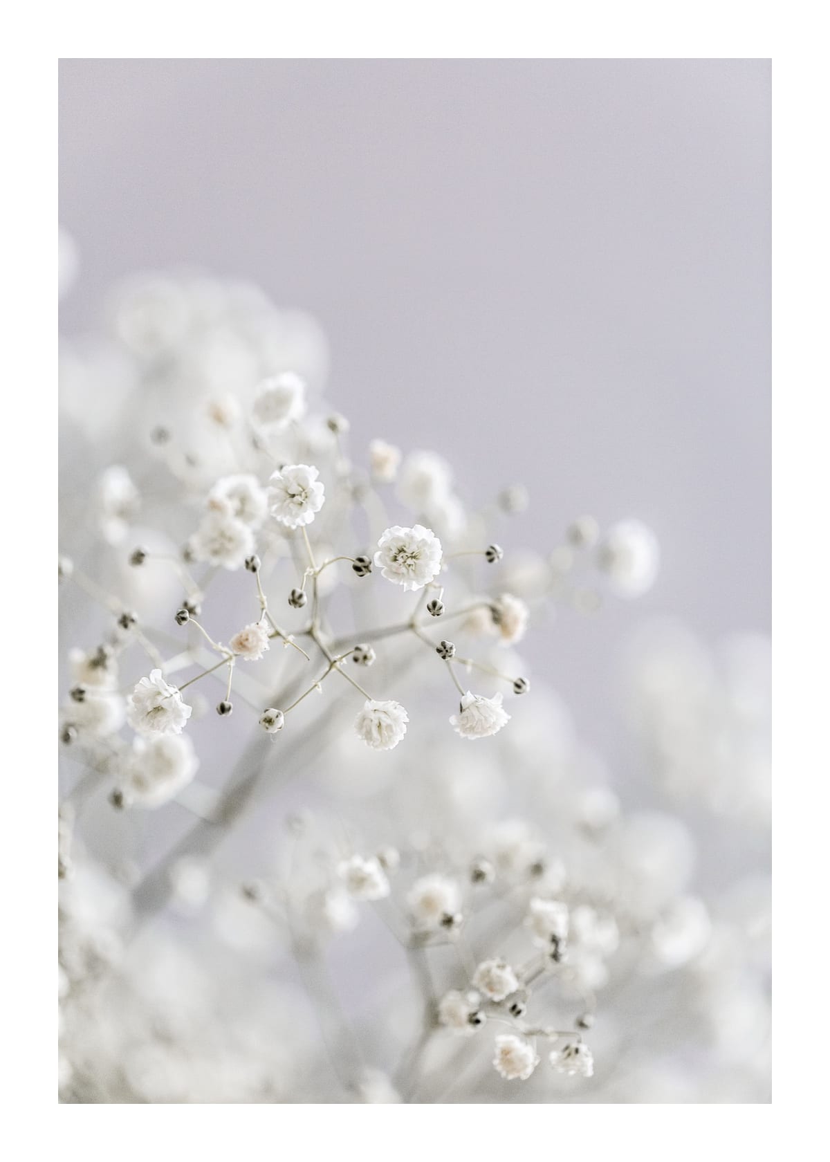 variant-50x70_with-margin