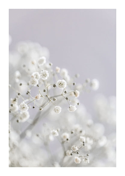 variant-50x70_with-margin
