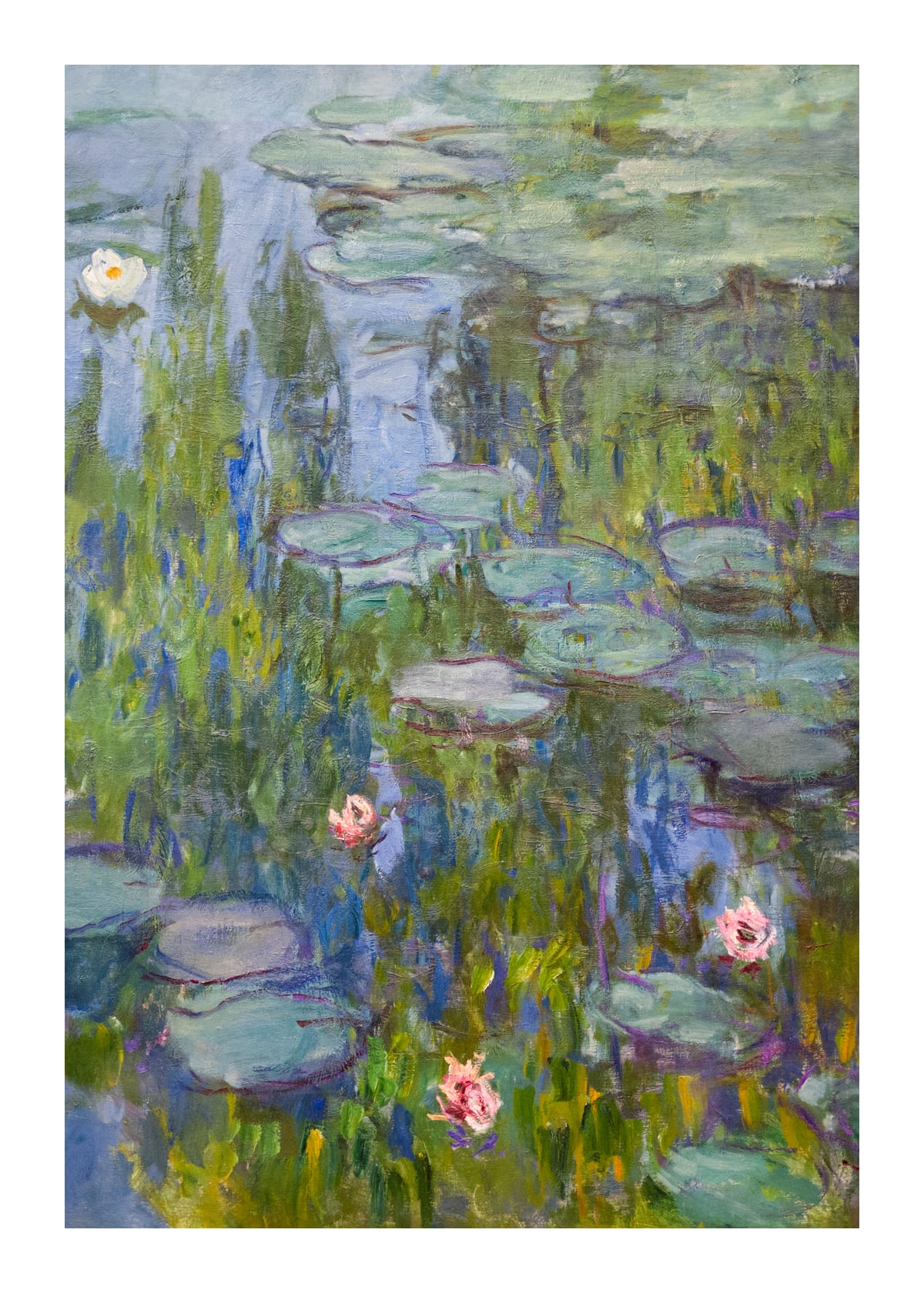 variant-50x70_with-margin