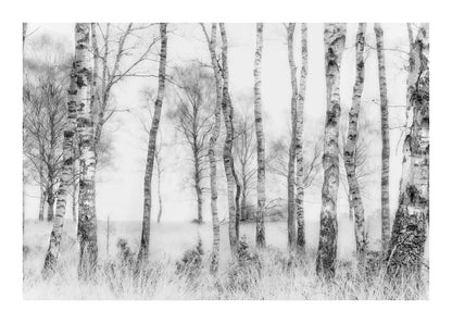 variant-50x70_with-margin