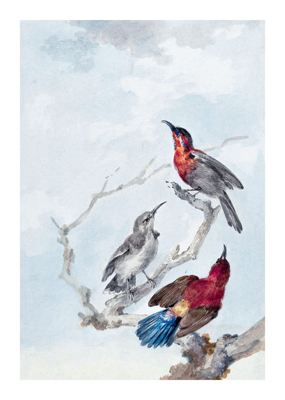 variant-50x70_with-margin