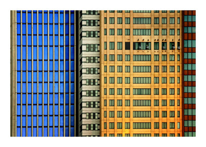 variant-50x70_with-margin