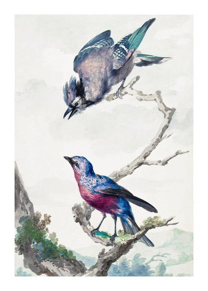 variant-50x70_with-margin