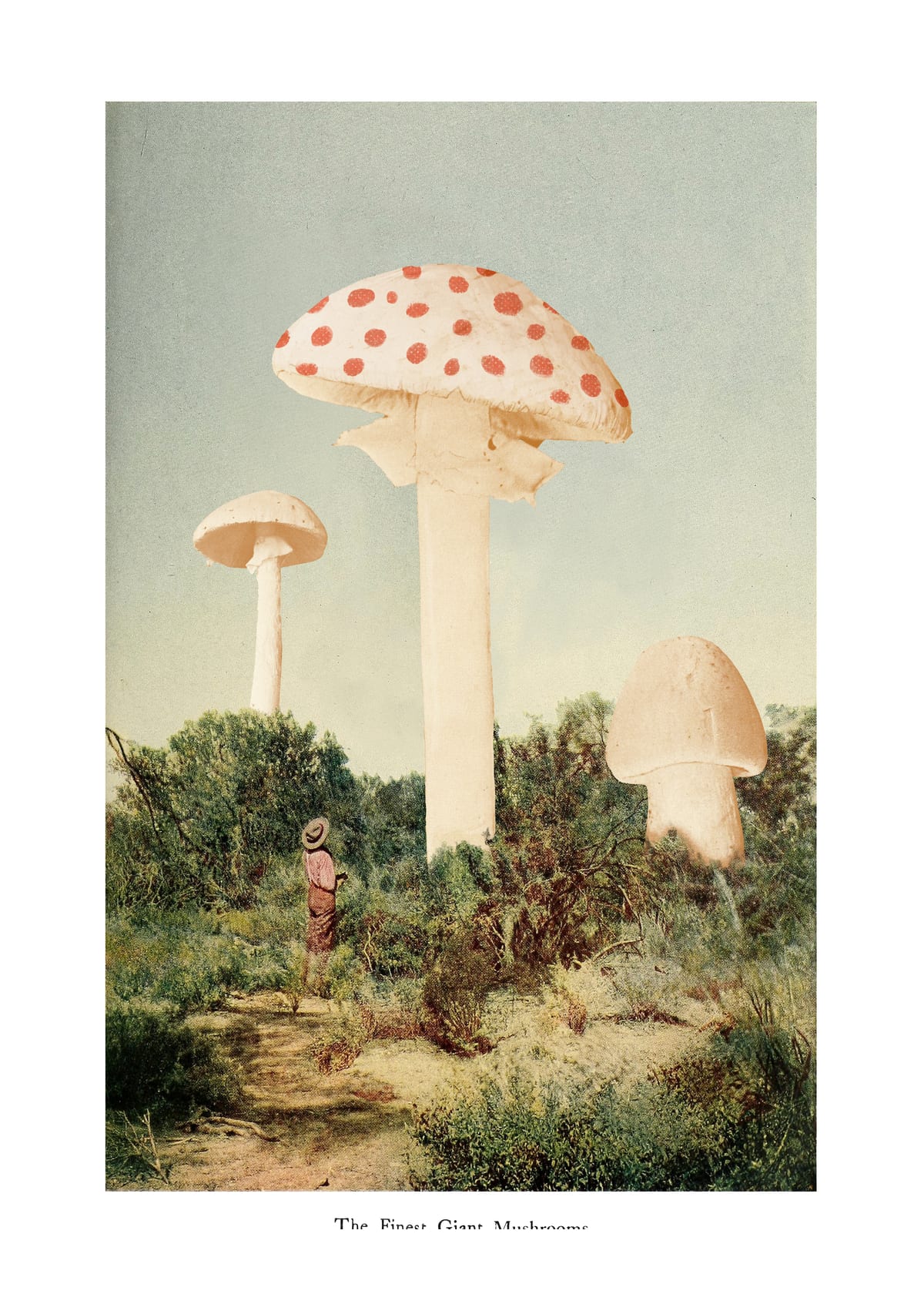 variant-50x70_with-margin