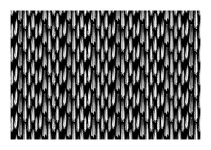 variant-50x70_with-margin