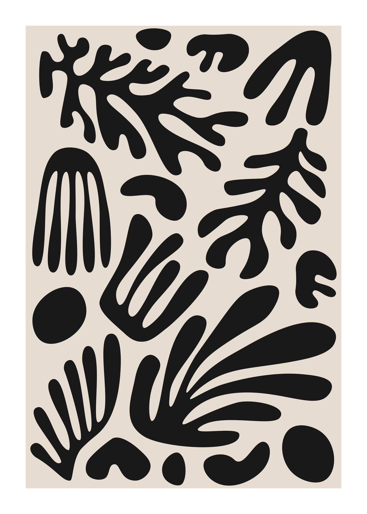 variant-50x70_with-margin