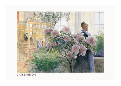 variant-50x70_with-margin