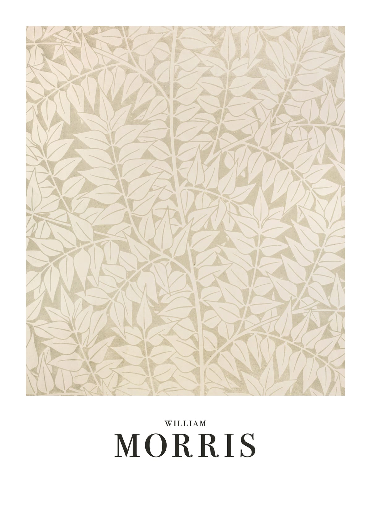 variant-50x70_with-margin