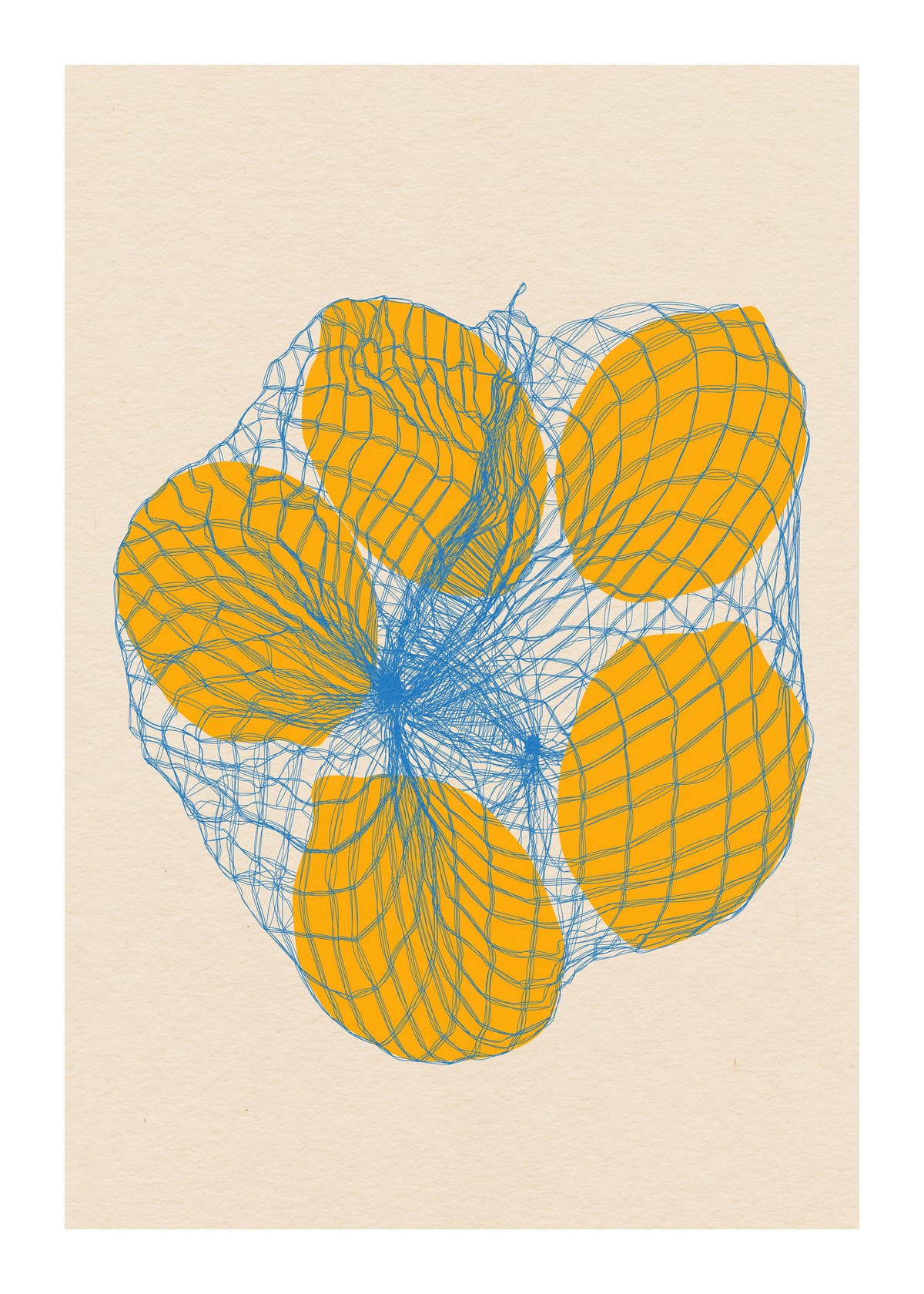 variant-50x70_with-margin