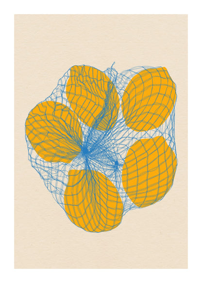variant-50x70_with-margin