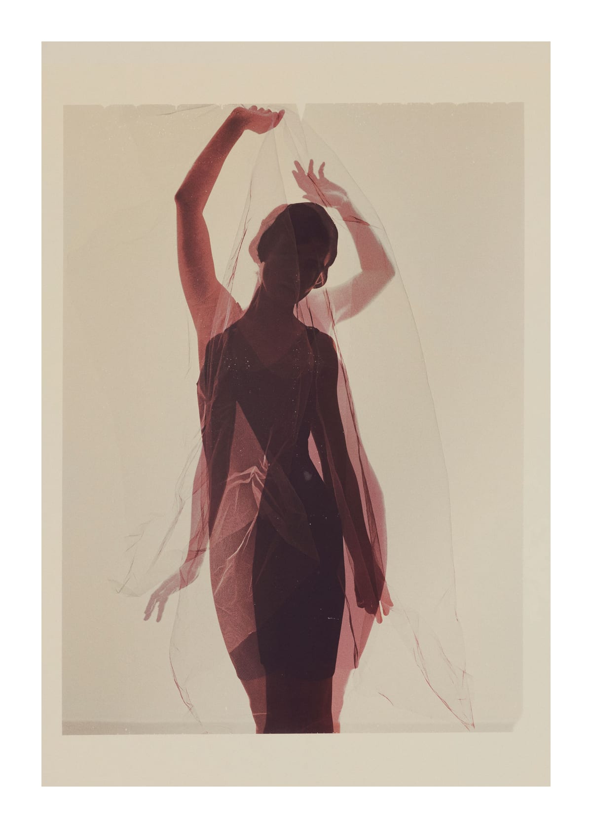 variant-50x70_with-margin
