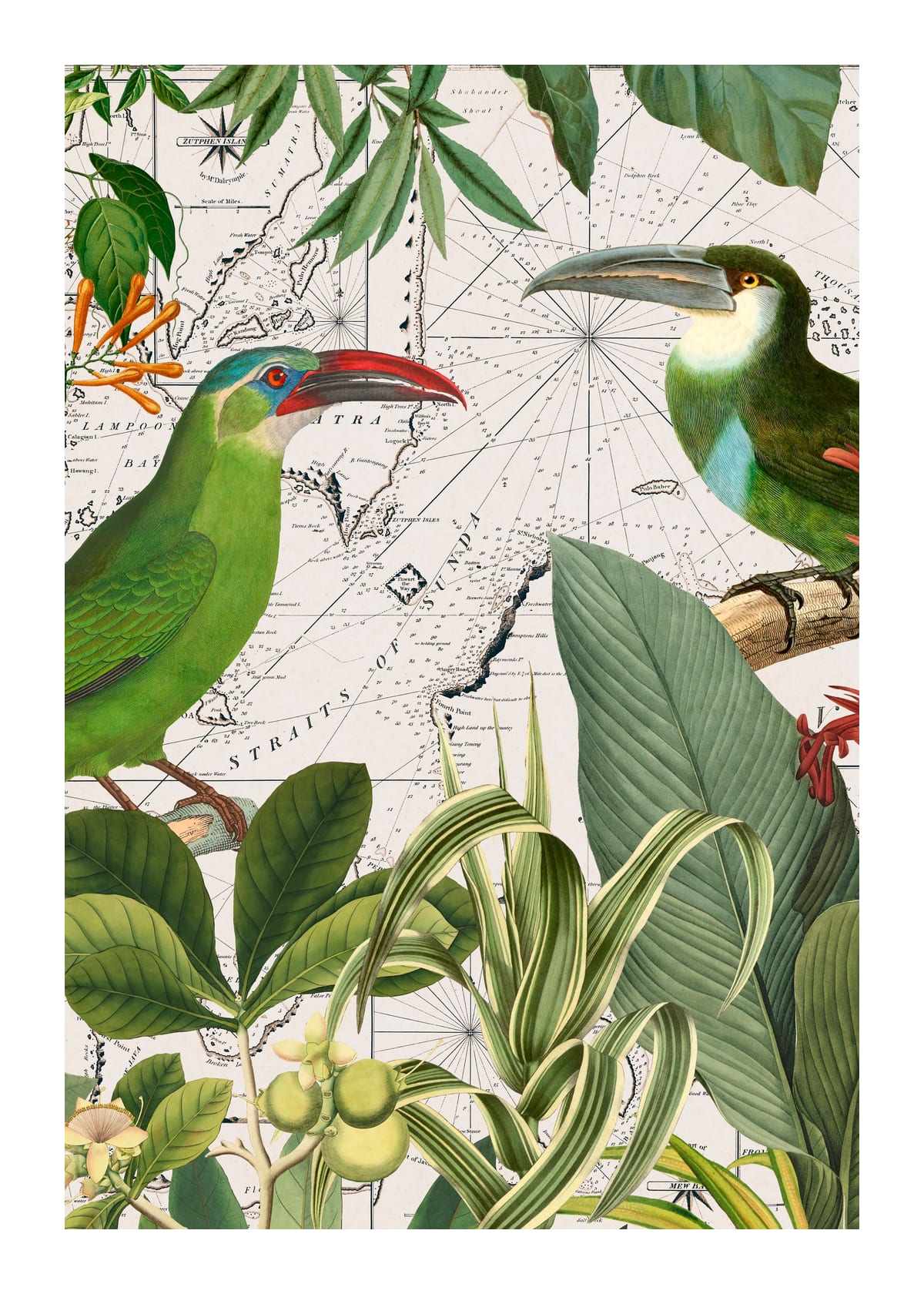 variant-50x70_with-margin