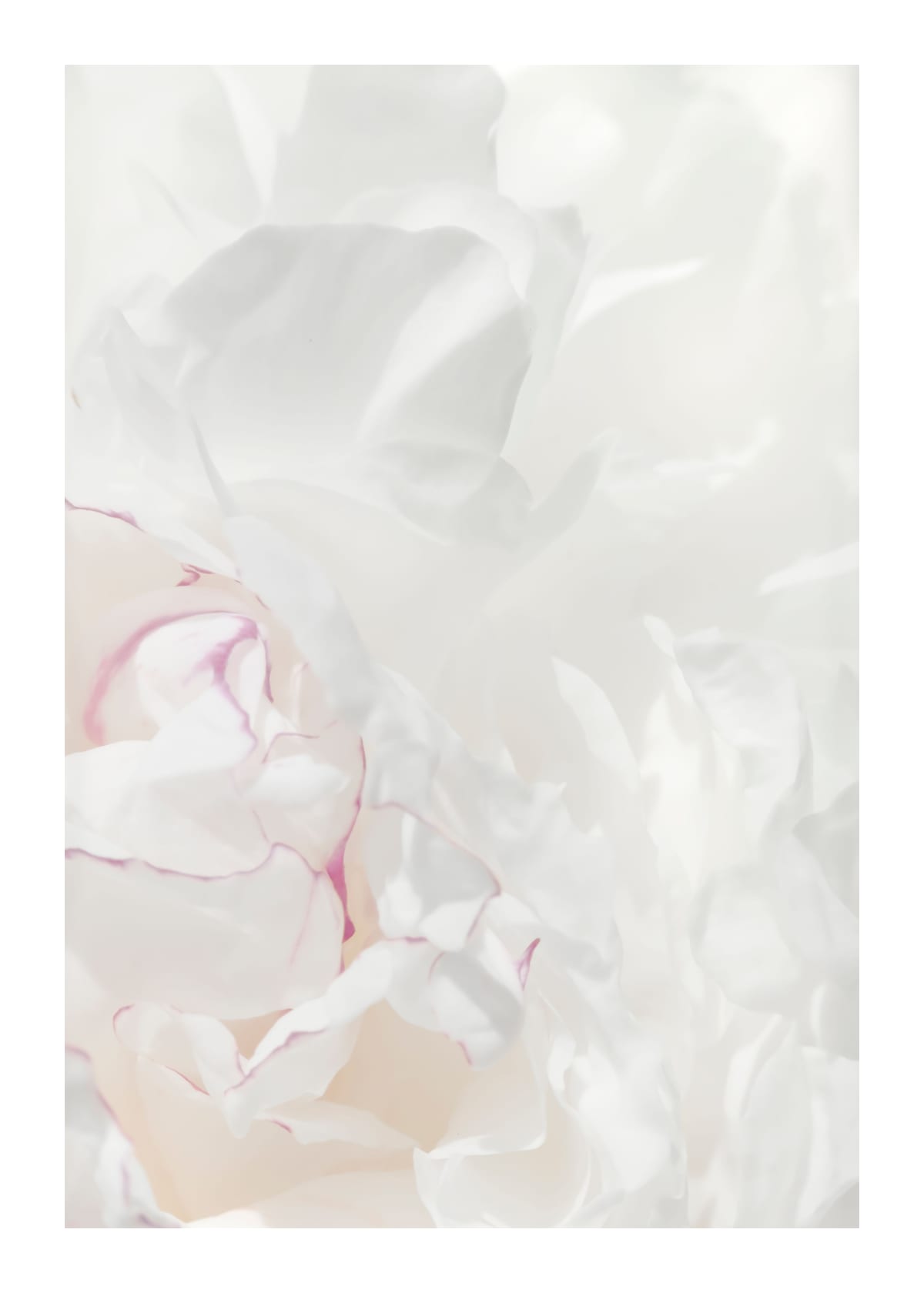 variant-50x70_with-margin