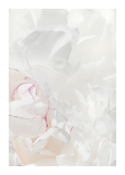 variant-50x70_with-margin