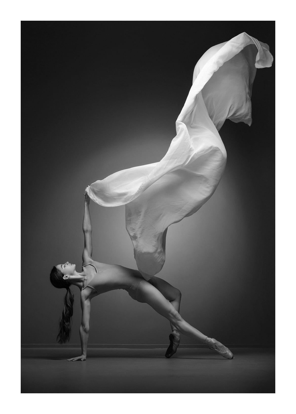 variant-50x70_with-margin