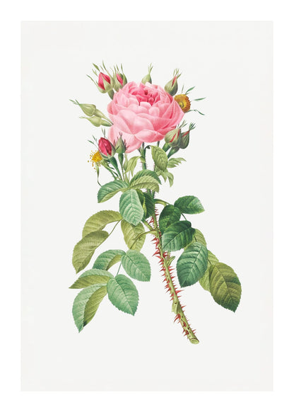 variant-50x70_with-margin