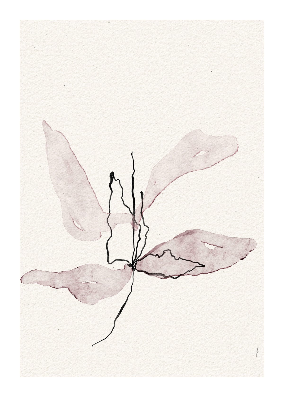 variant-50x70_with-margin