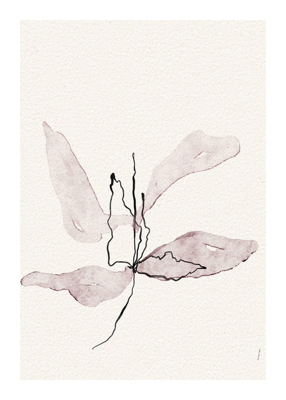 variant-50x70_with-margin