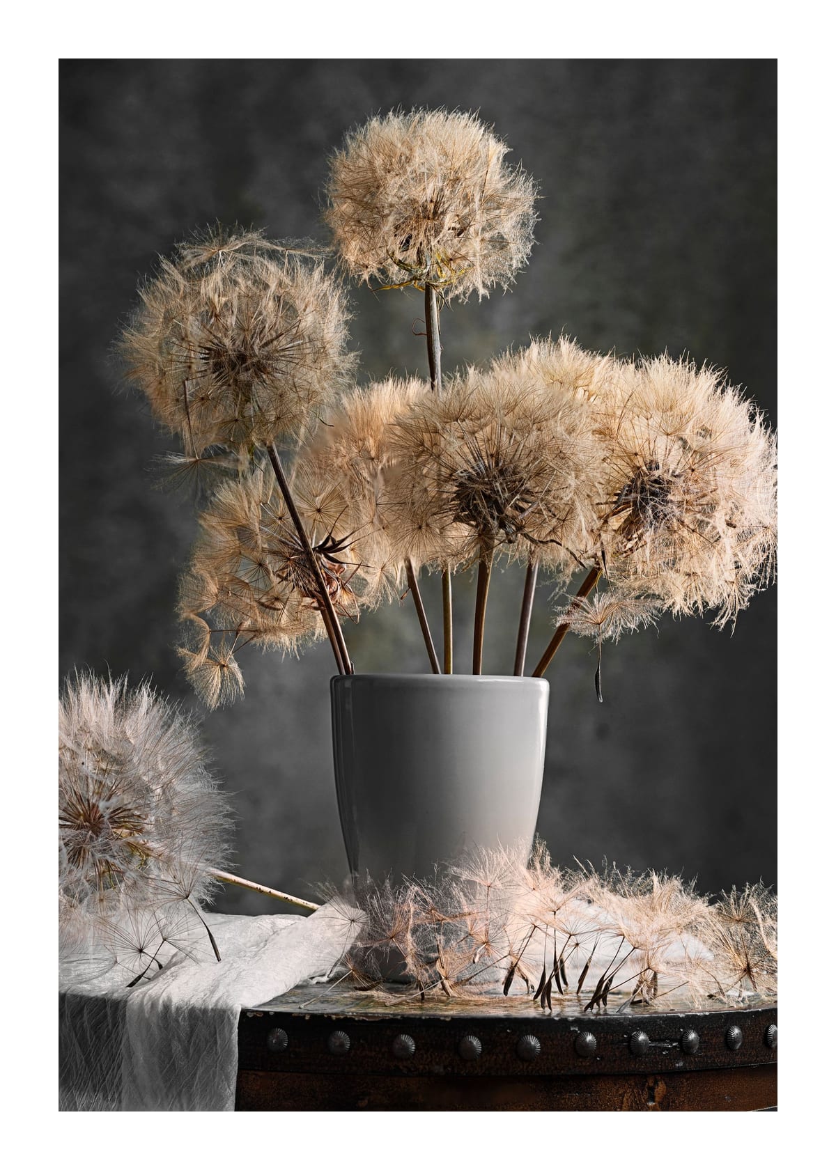 variant-50x70_with-margin