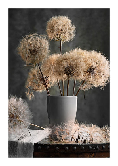 variant-50x70_with-margin