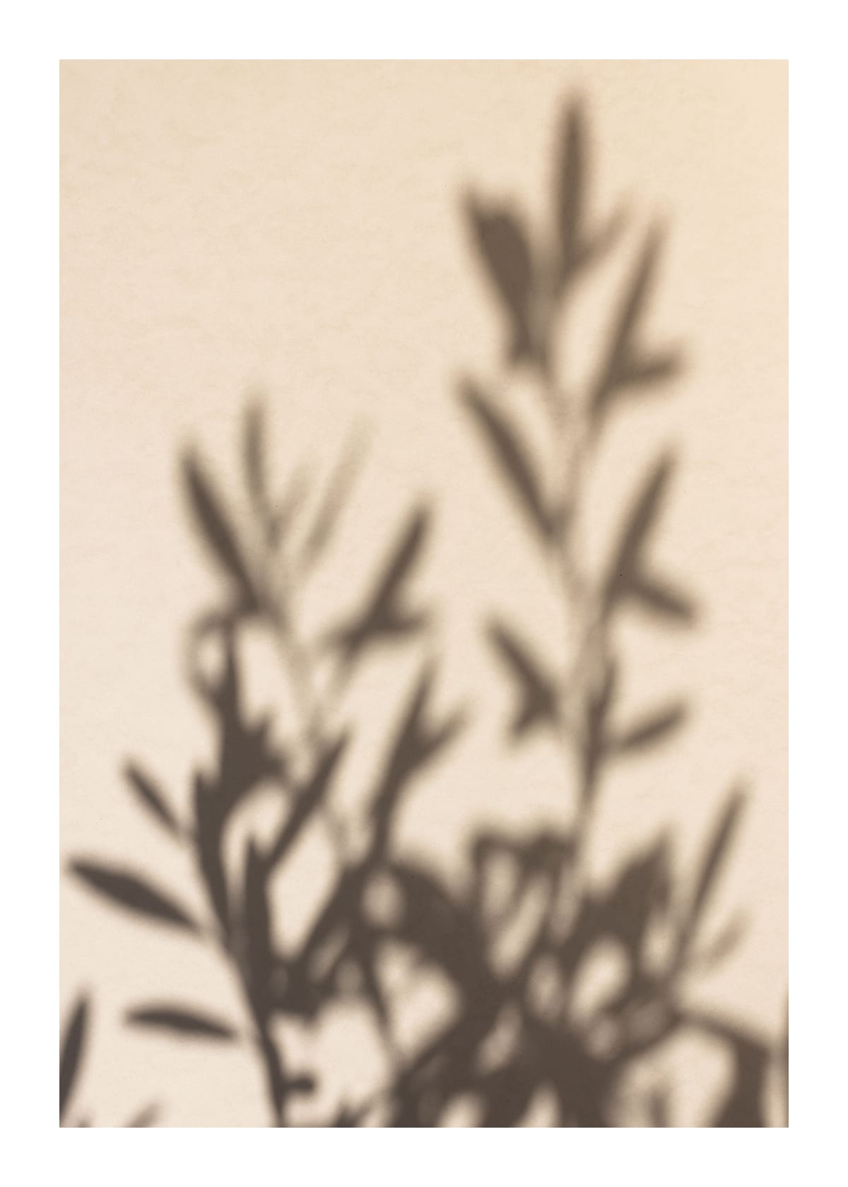 variant-50x70_with-margin