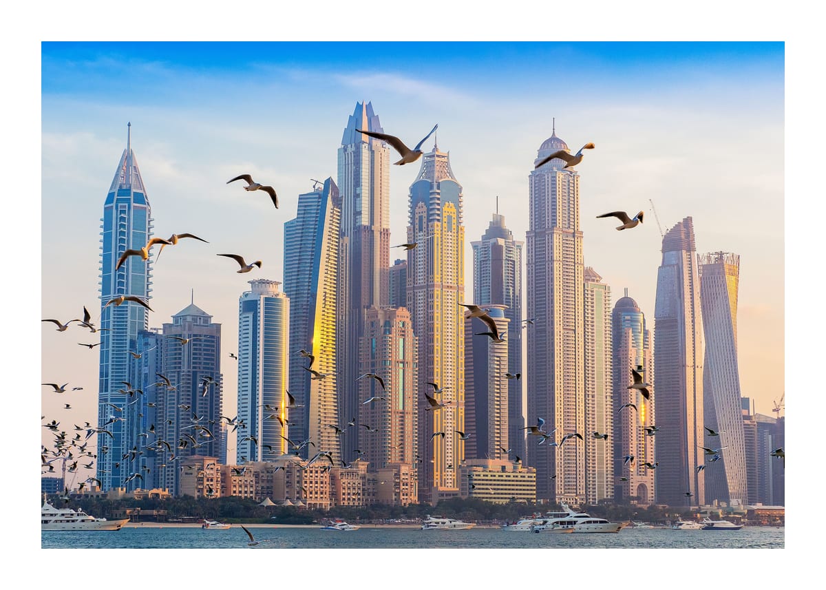 variant-50x70_with-margin