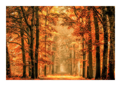 variant-50x70_with-margin