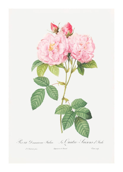 variant-50x70_with-margin