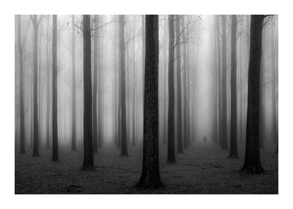 variant-50x70_with-margin