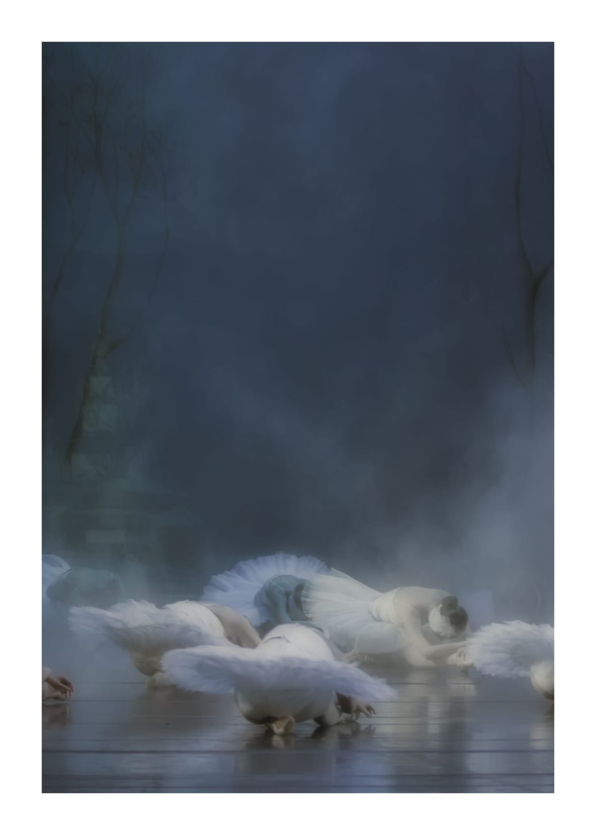 variant-50x70_with-margin