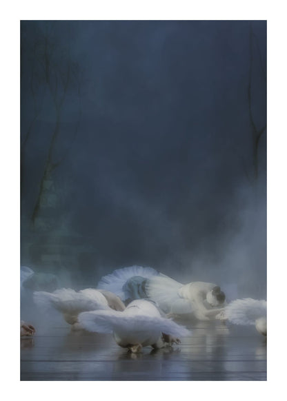 variant-50x70_with-margin