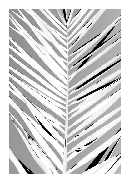 variant-50x70_with-margin