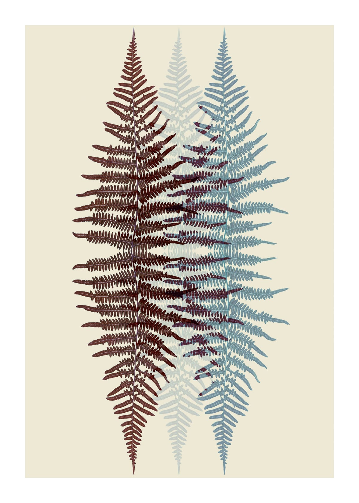 variant-50x70_with-margin