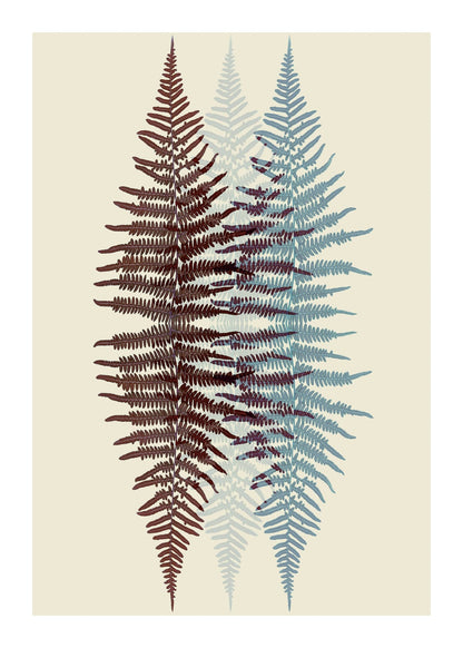 variant-50x70_with-margin