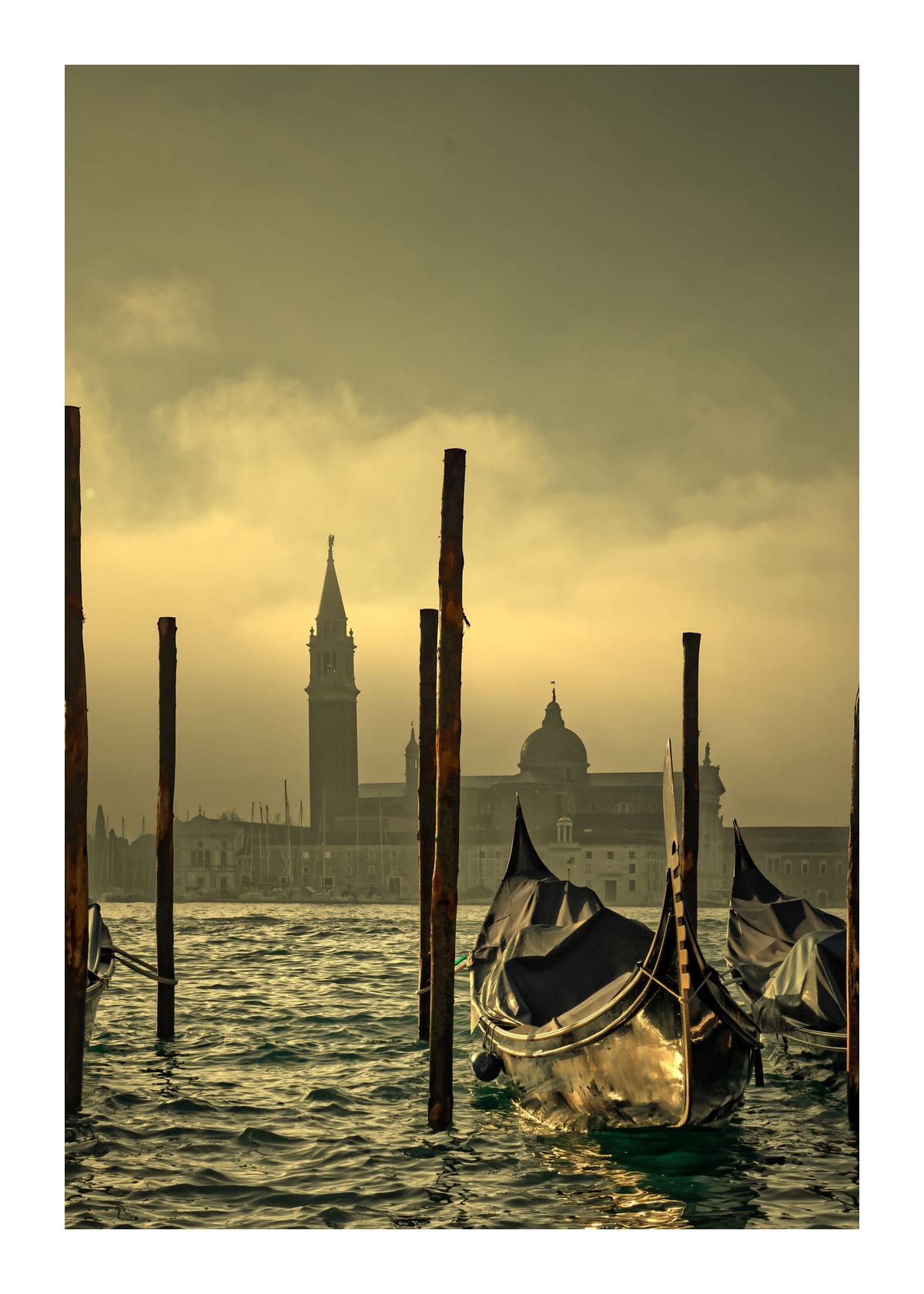 variant-50x70_with-margin
