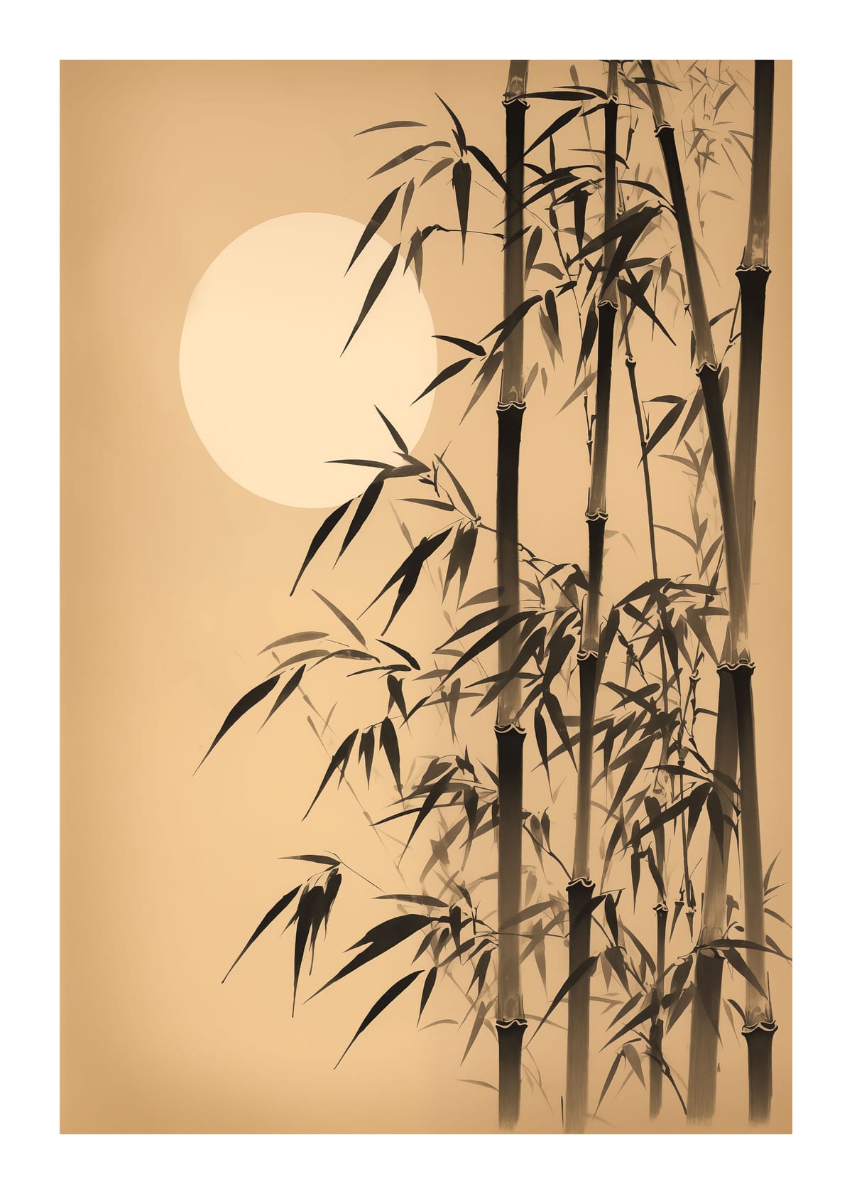 variant-50x70_with-margin