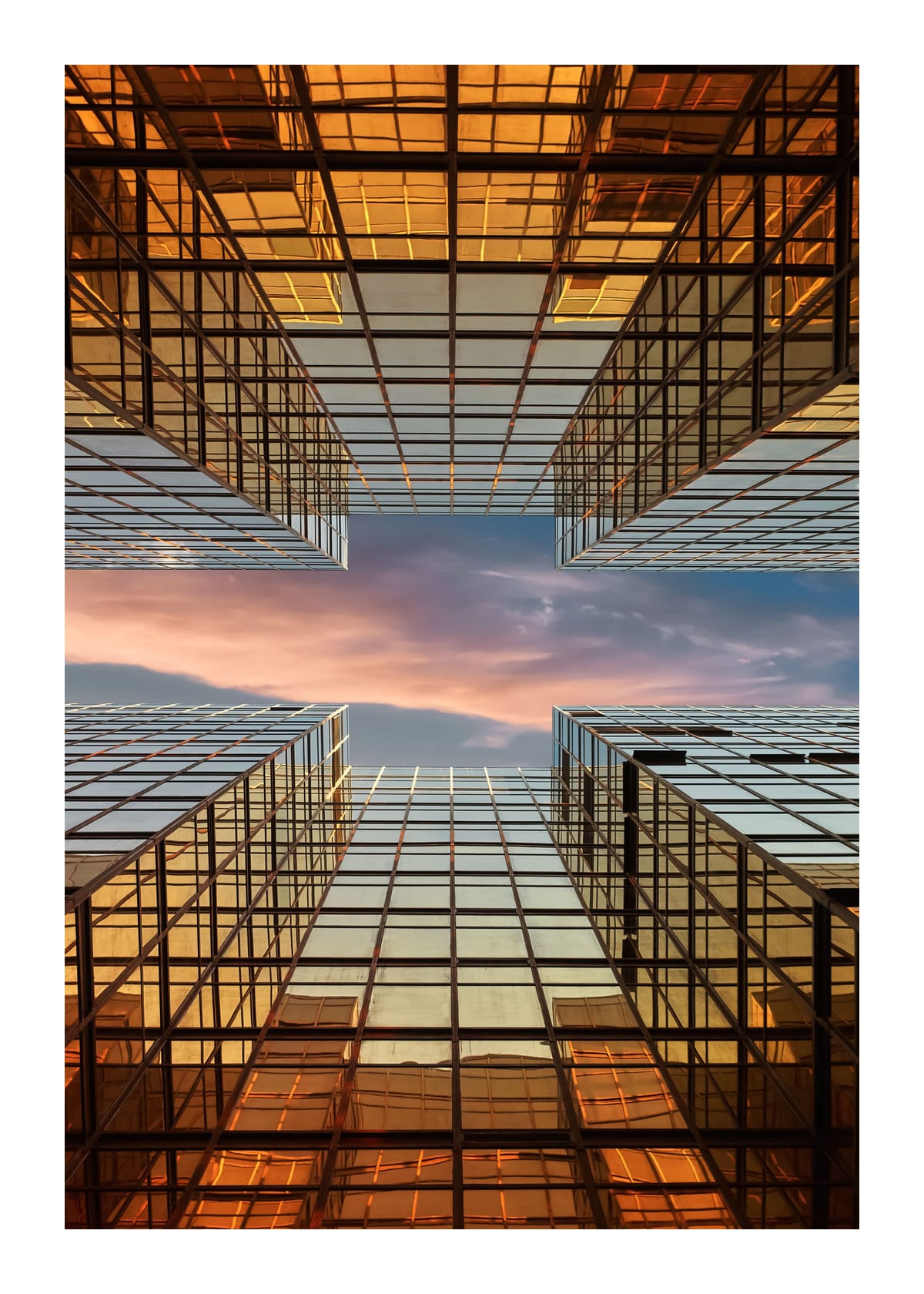 variant-50x70_with-margin