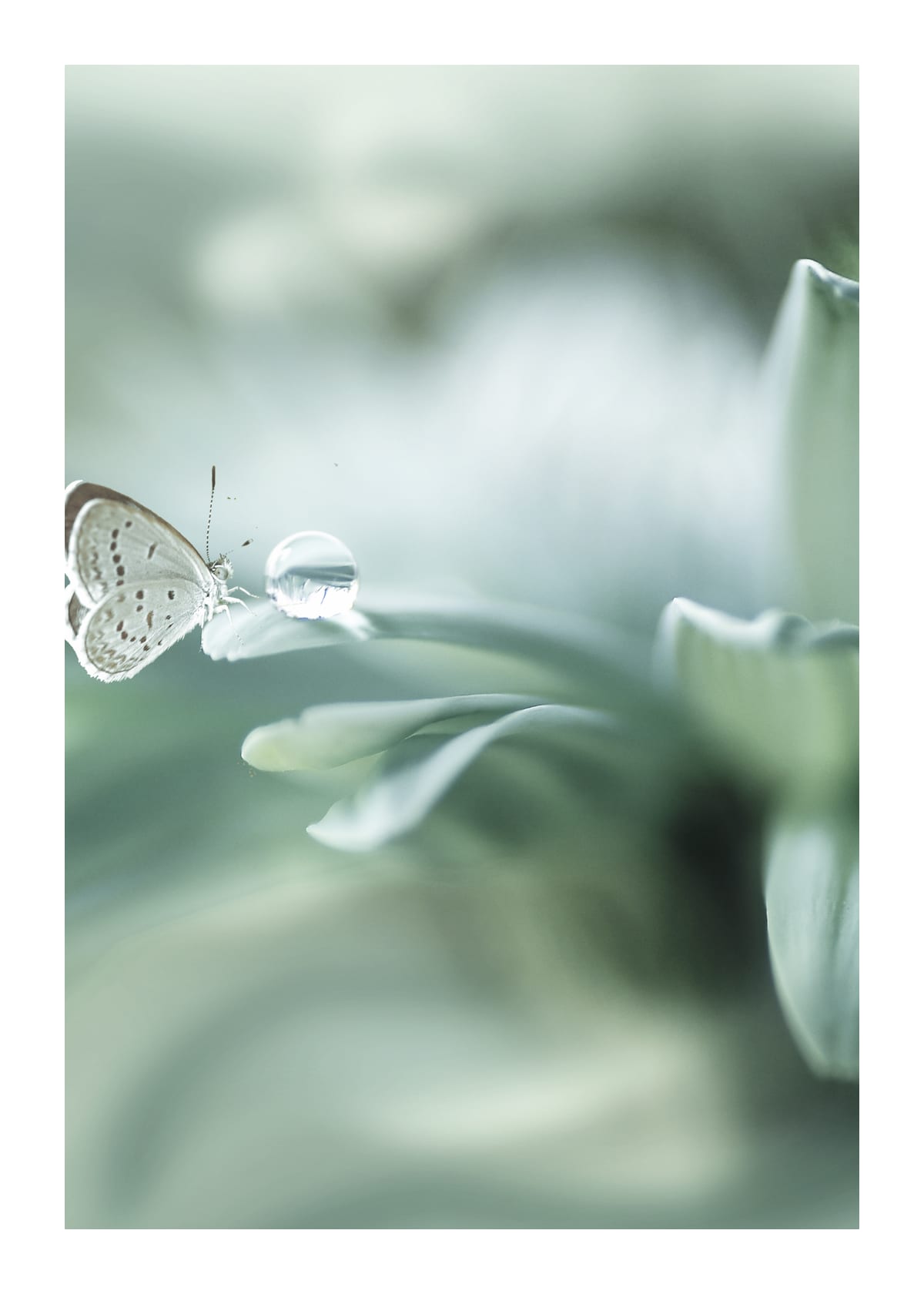variant-50x70_with-margin