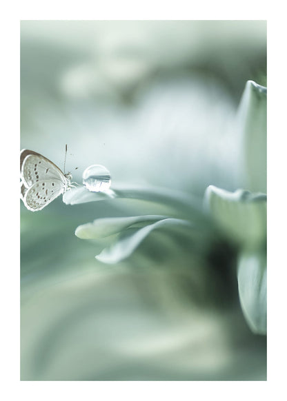 variant-50x70_with-margin