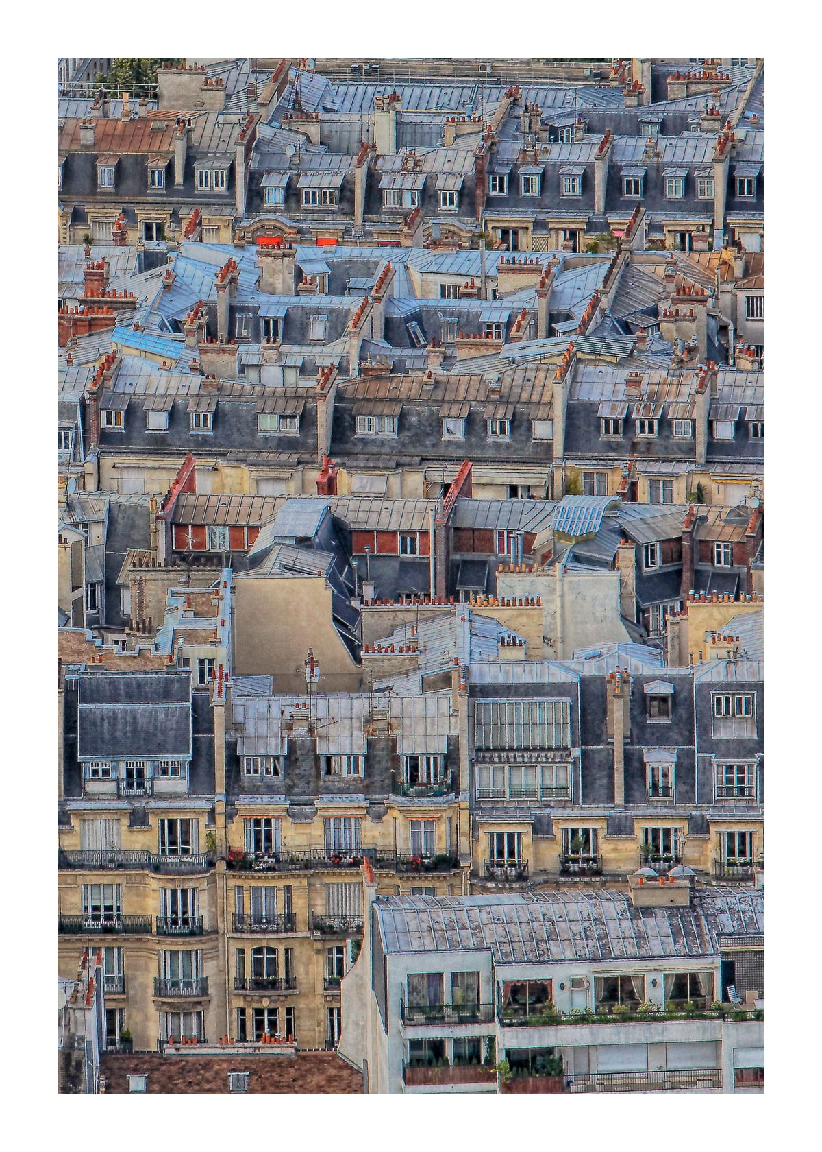 variant-50x70_with-margin