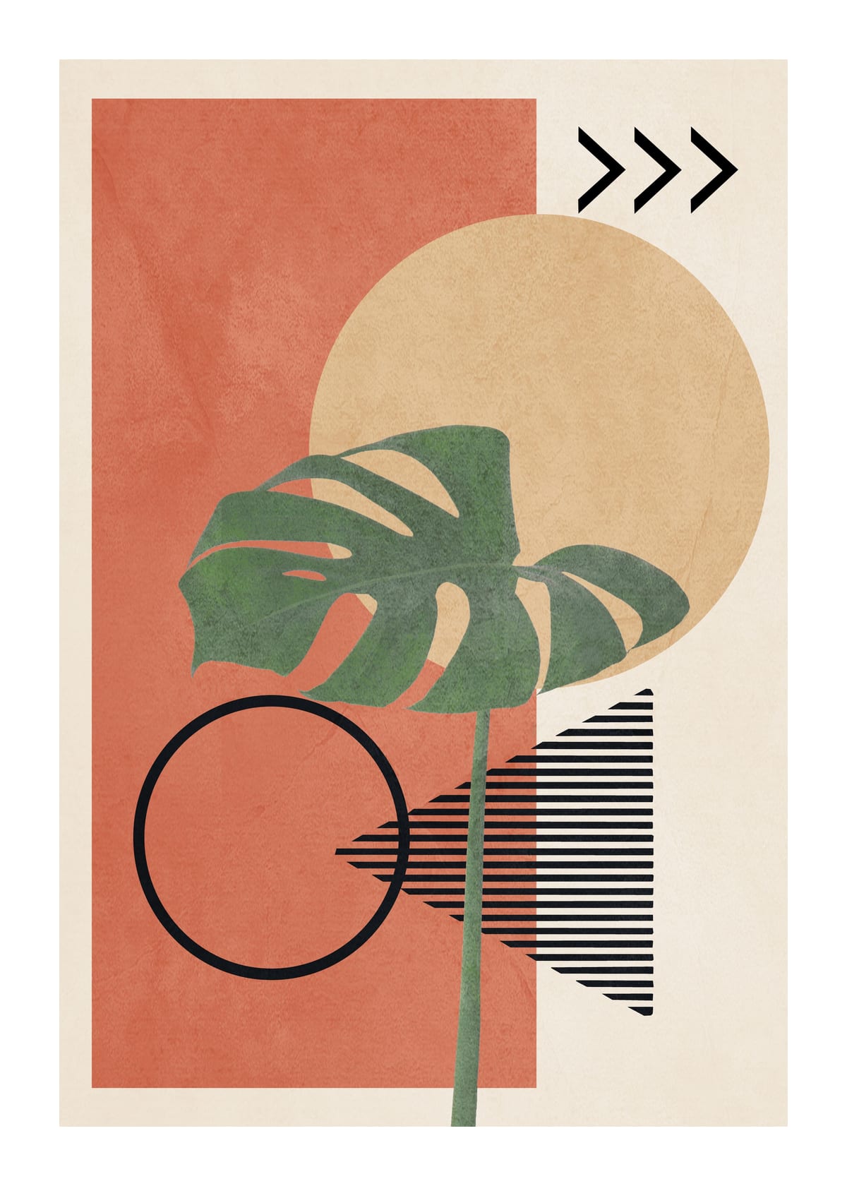 variant-50x70_with-margin