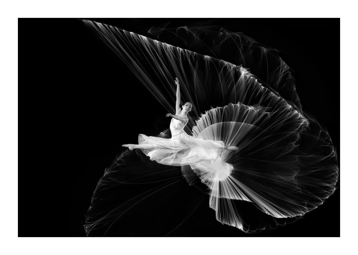 variant-50x70_with-margin