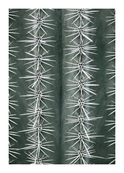 variant-50x70_with-margin