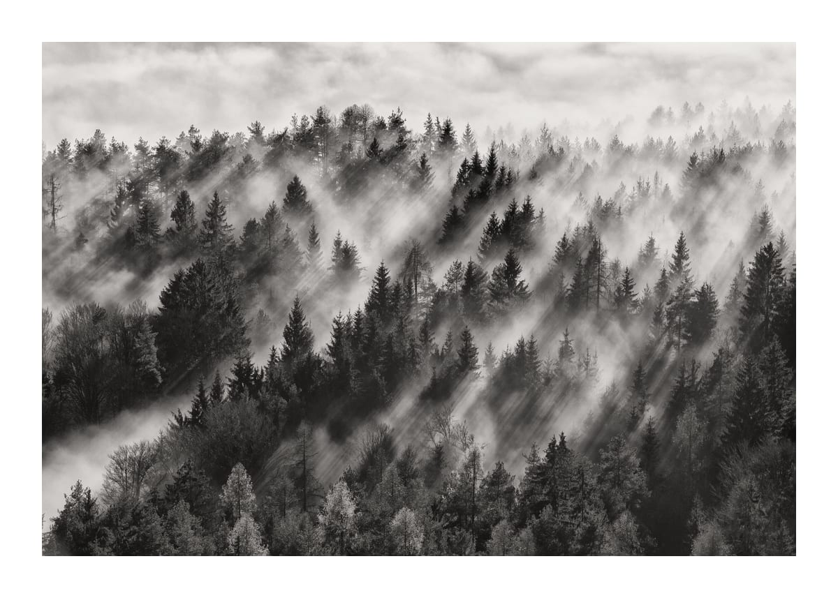 variant-50x70_with-margin