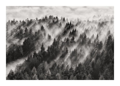 variant-50x70_with-margin