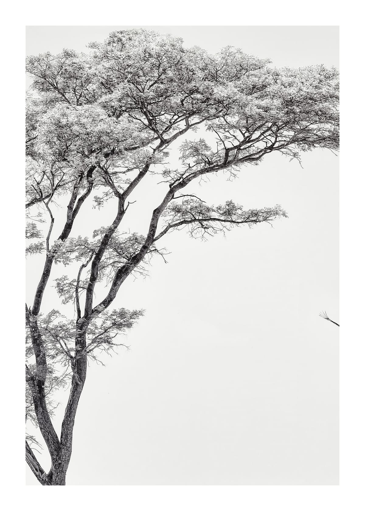 variant-50x70_with-margin